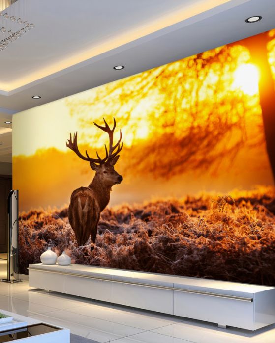 Fotomurales Ciervo