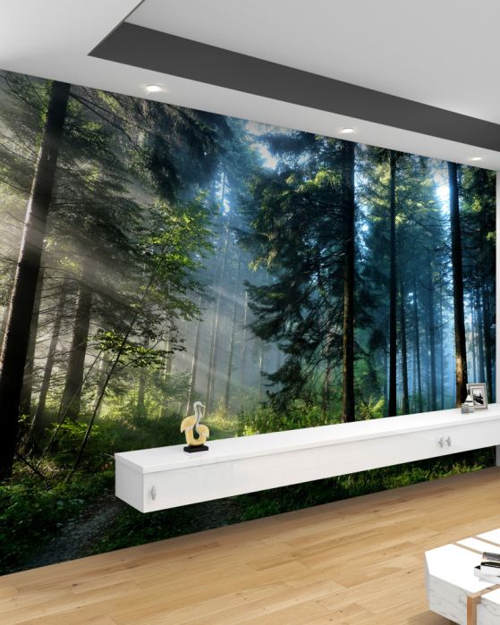 Fotomurales Bosque